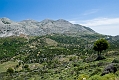 262_Kreta_Selena Oros